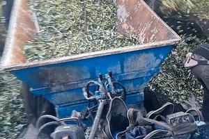 carrello  uva agricolo 