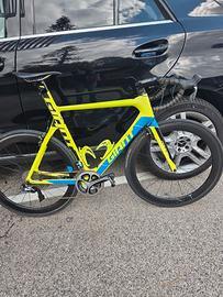 buci corsa giant. 
