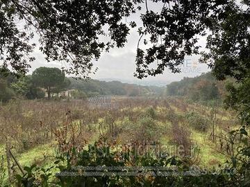 Rustico/Casale/Corte Tempio Pausania [A4333276]