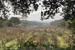 Rustico/Casale/Corte Tempio Pausania [A4333276]