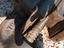 Immagine 3