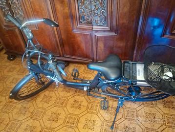 Bicicletta elettrica