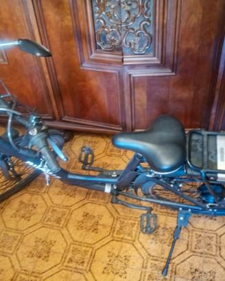 Bicicletta elettrica