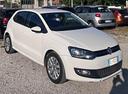volkswagen-polo-1-6-tdi-perfetta-si-neopatentati