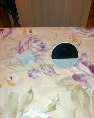 Echo spot Alexa
