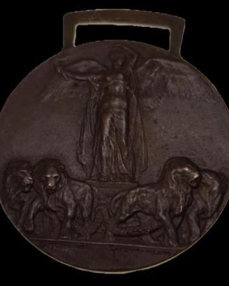 medaglia al calore militare 