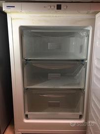 "Freezer Liebherr"
