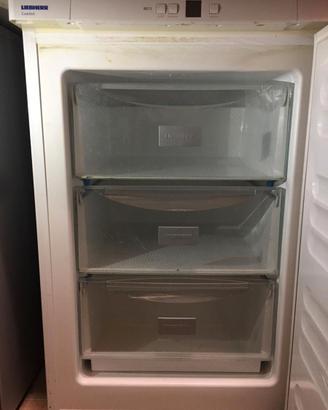 "Freezer Liebherr"