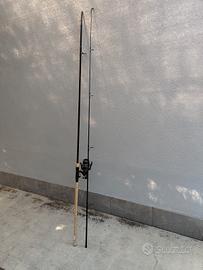 canna carpa fishing 