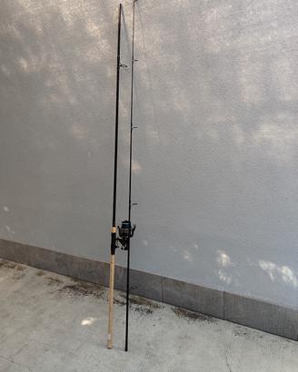 canna carpa fishing 