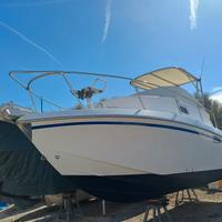 Chris Craft Sea Hawk 254