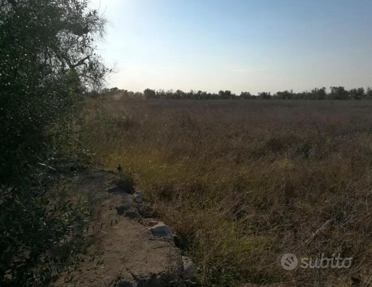 Terreno agricolo-seminativo - Vista 4
