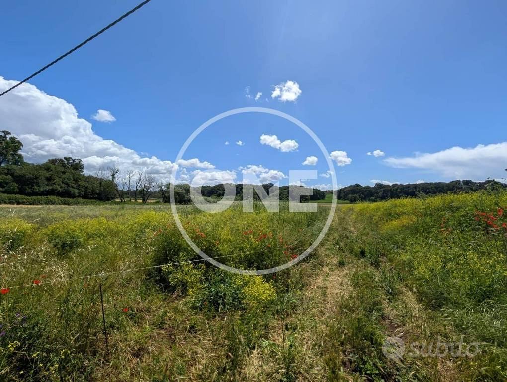 Terreno di 60000 m² a Ardea - Altro