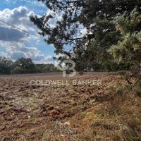 Terreno - Gioia del Colle