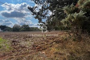 Terreno - Gioia del Colle