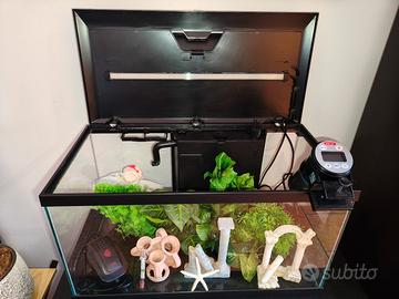 acquario 60 litri con luce a led integrata 