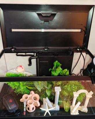 acquario 60 litri con luce a led integrata 
