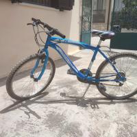 Bicicletta mountain bike 24