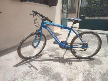 Bicicletta mountain bike 24