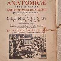 tavole anatomiche di Bartolomei Eustachii.  1722