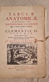 tavole anatomiche di Bartolomei Eustachii.  1722