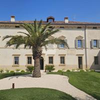 MONOLOCALE A TREGNAGO