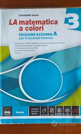 LA MATEMATICA A COLORI 3