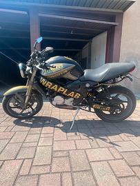 Mv Agusta Motor Cagiva Raptor