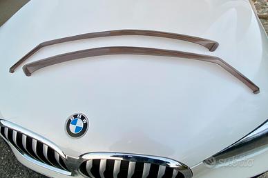 Antiturbo / Defletori BMW X1 f 48