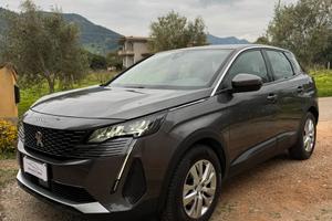 PEUGEOT 3008 Active Business