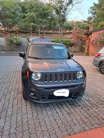 Jeep Renegade gpl
