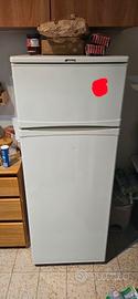 frigo smeg