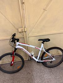 bicicletta