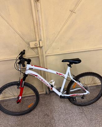 bicicletta