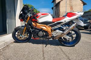  Aprilia Tuono V2 factory 2007