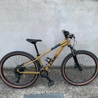 Bici mountainbike cube