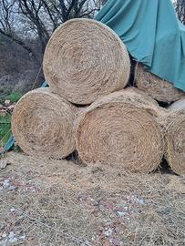 rotoballe paglia 
