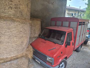 Camion trasporto animali
