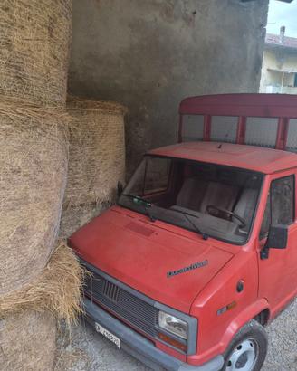 Camion trasporto animali
