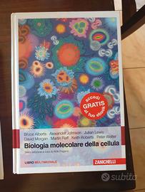 Testi uni