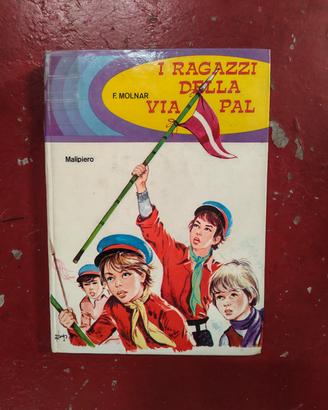libro i ragazzi della via pal