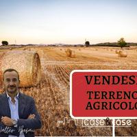 Nave di Fontanafredda terreno agricolo Rif. V39