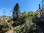 Immagine 29