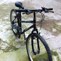 bicicletta bianchi mountainbike