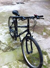 bicicletta bianchi mountainbike