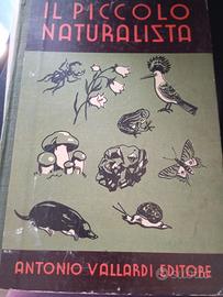 IL PICCOLO NATURALISTA