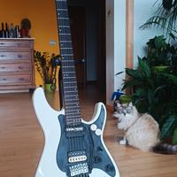 Schecter Sun Valley Super Shredder FR S Sustainiac
