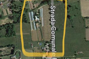 Terreno agricolo valdichiana