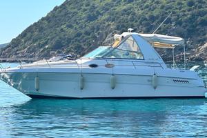 Sea Ray 310 Sundancer Natante