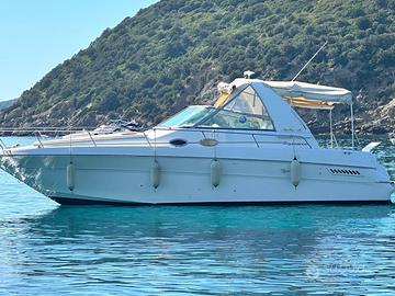 Sea Ray 310 Sundancer Natante